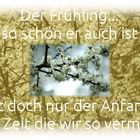 der Frühling....