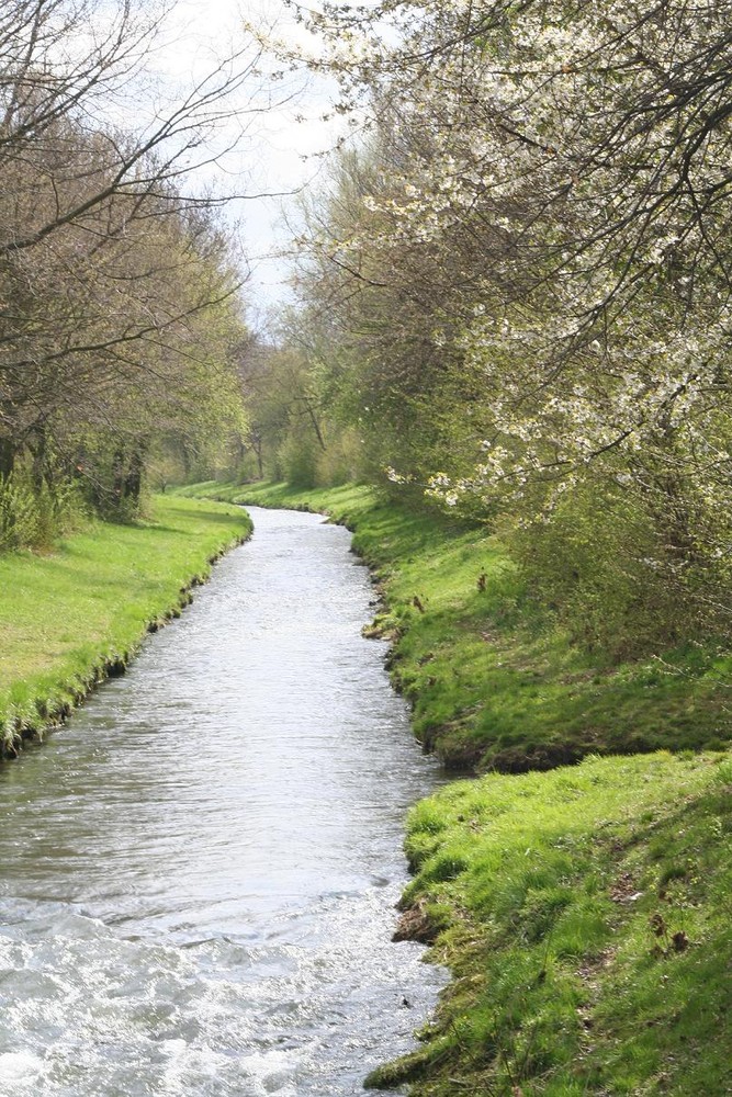 Der Frühling