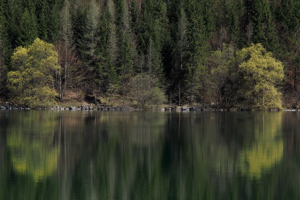 " Der Frühling als Maler "