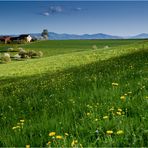 Der Frühling als Maler