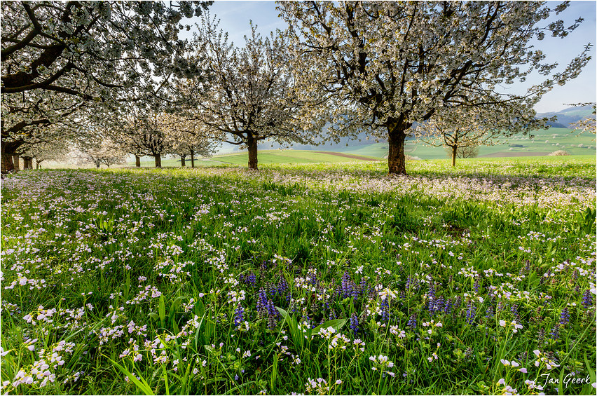 Der Frühling als Maler II