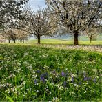 Der Frühling als Maler II