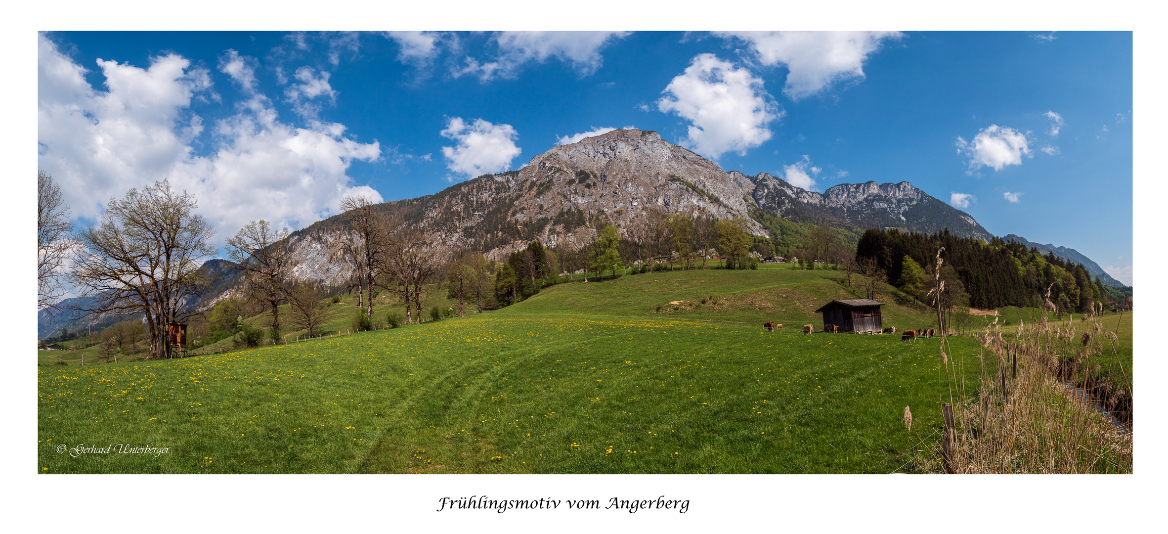 Der Frühling als positive Motivation