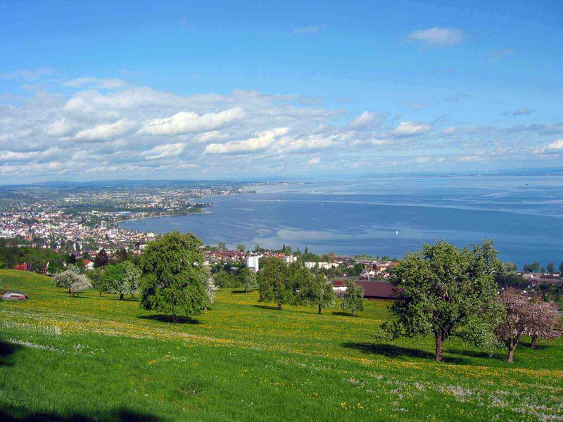 Der Frühling am Bodensee naht