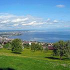 Der Frühling am Bodensee naht