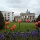 Der Frühling am Brandenburger Tor