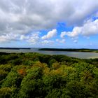 Der Frühling auf Rügen