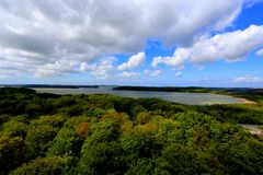 Der Frühling auf Rügen