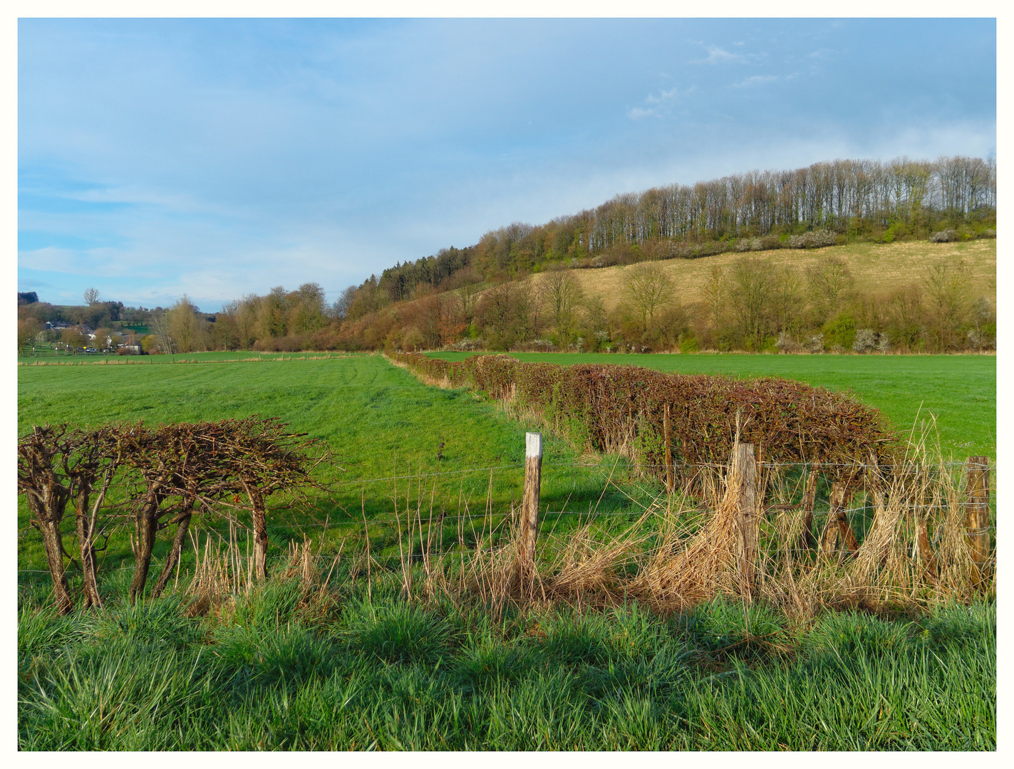 Der Frühling begann