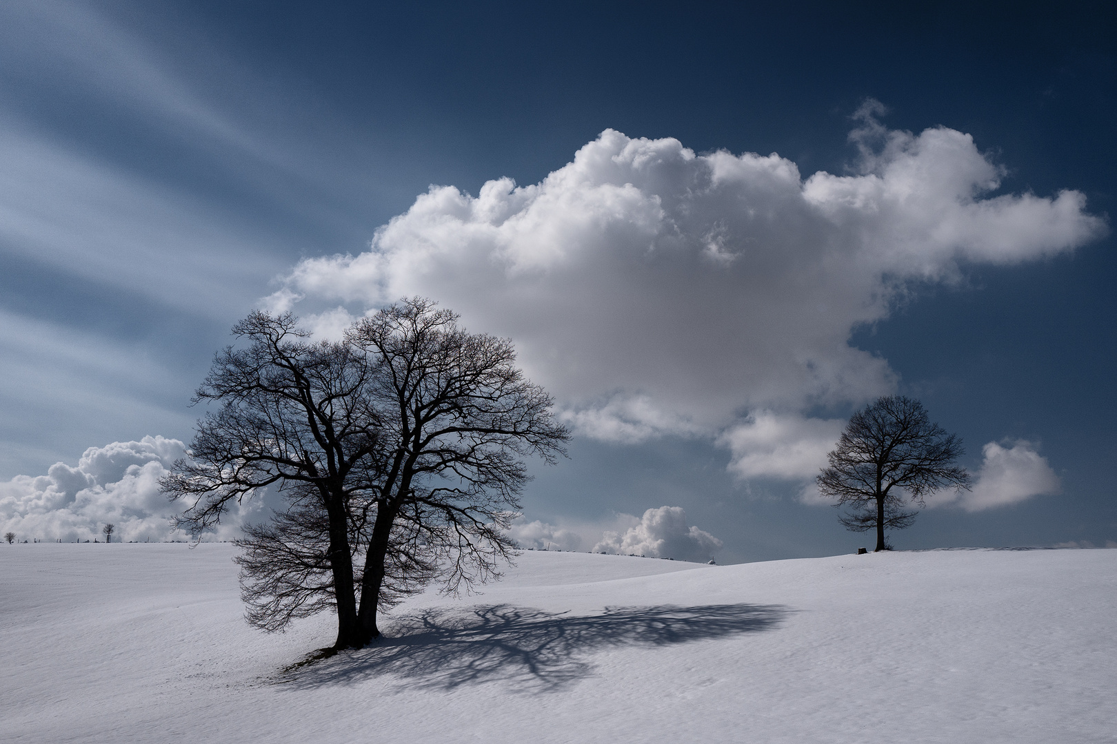 Der Frühling beginnt...