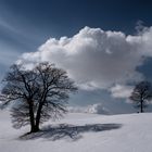 Der Frühling beginnt...