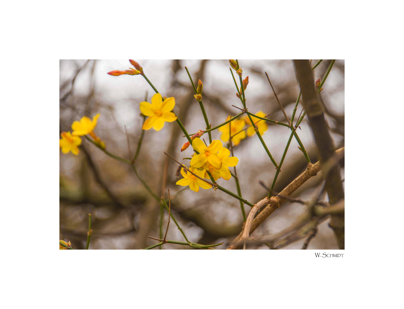 der Frühling beginnt