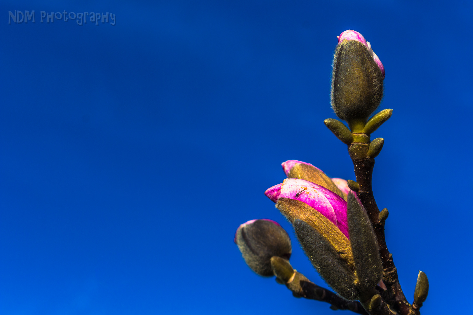 Der Frühling beginnt