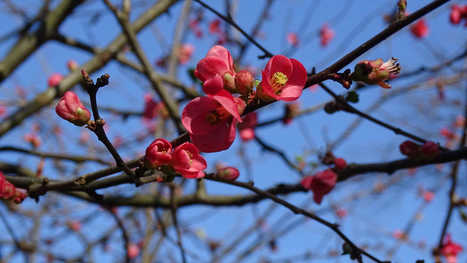 Der Frühling beginnt