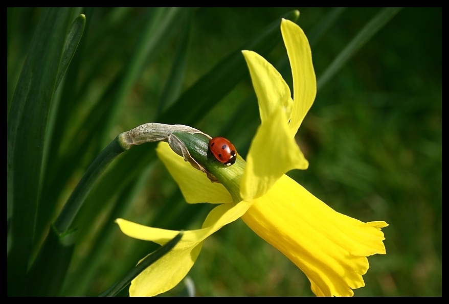 Der Frühling beginnt...