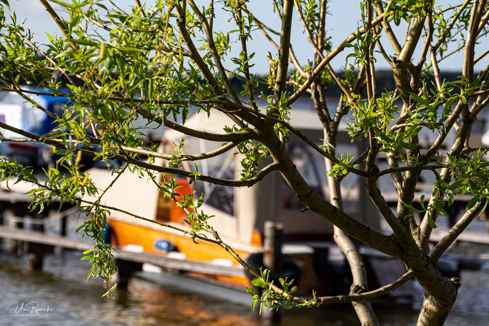 Der Frühling beginnt