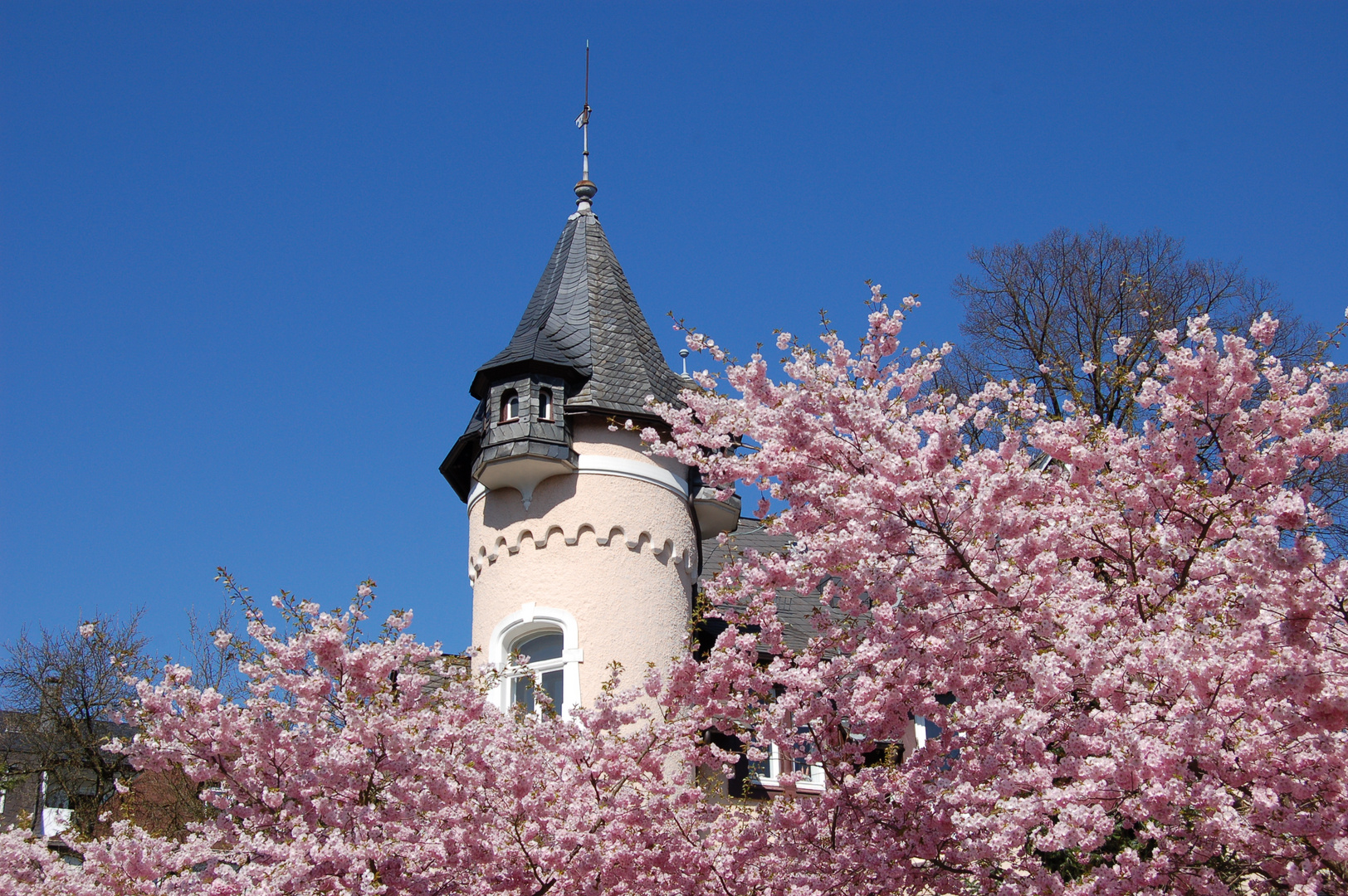 Der Frühling beginnt