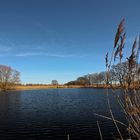 Der Frühling blaut