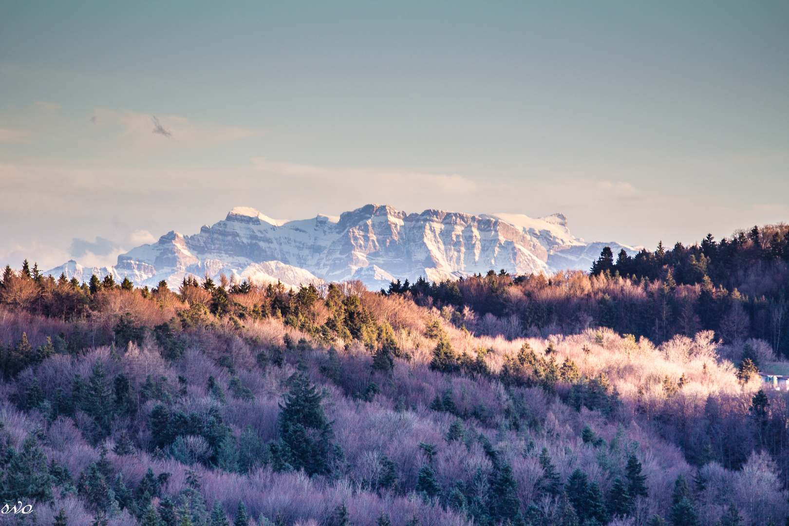 Der Frühling bringt Farben