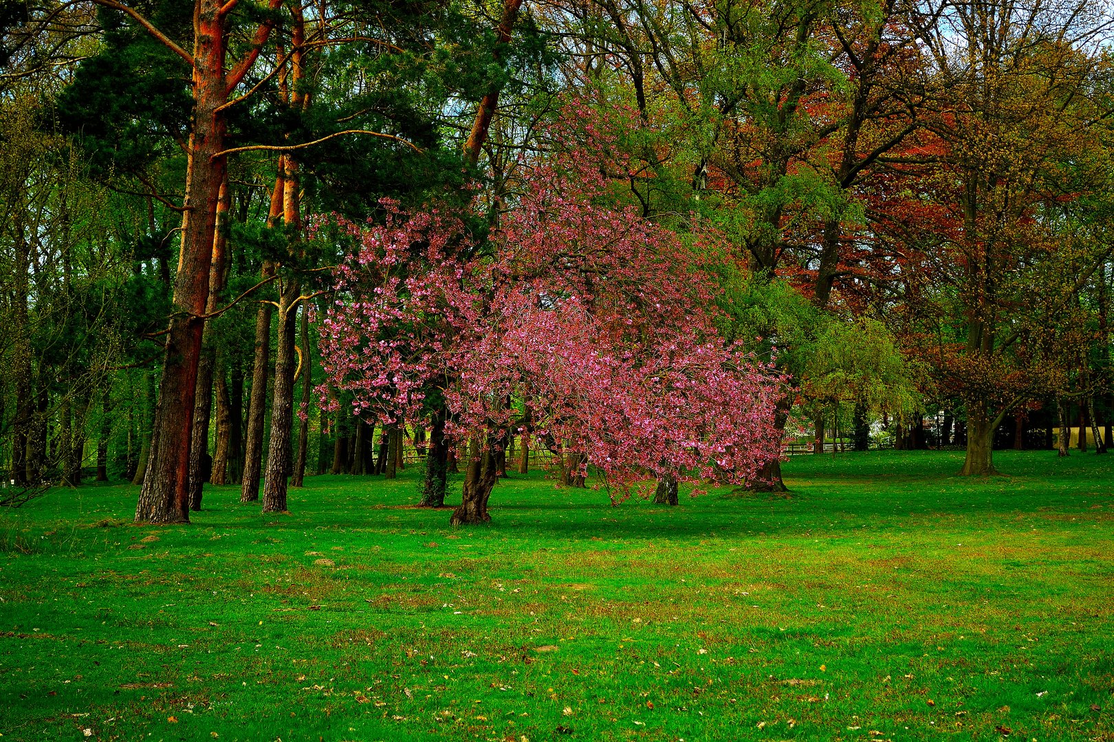 Der Frühling