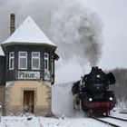 der Frühling der als Winter begann