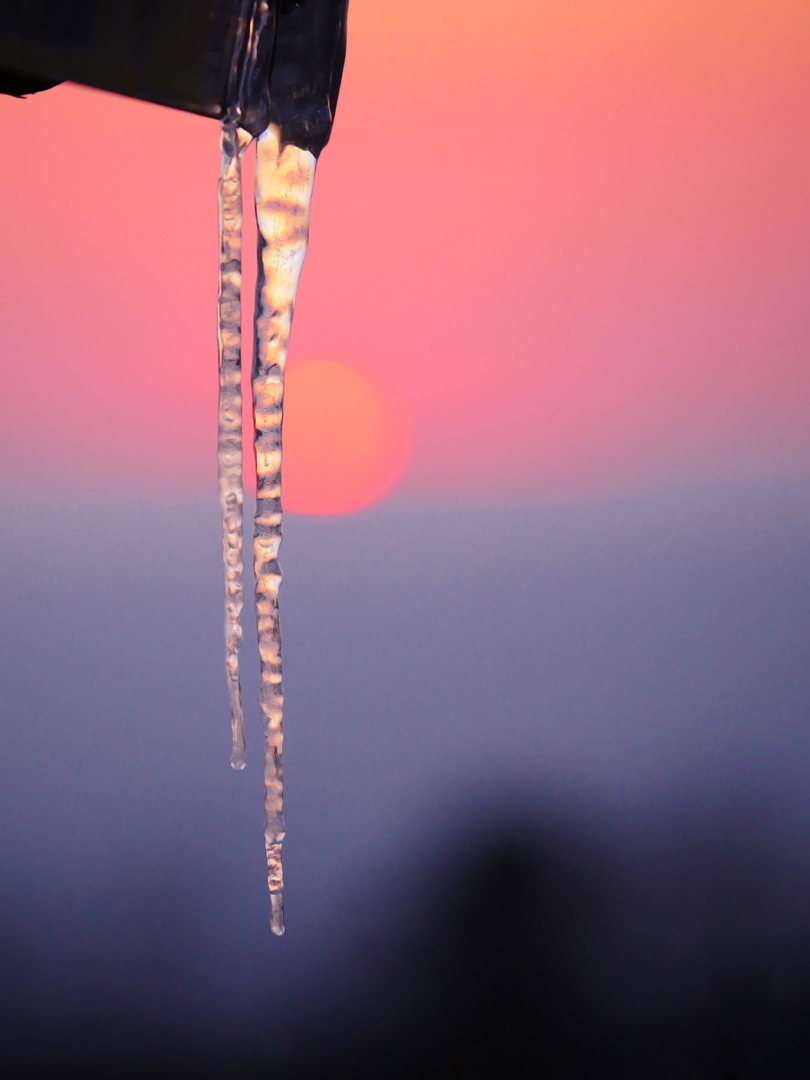 Der Frühling, der ein Winter ist