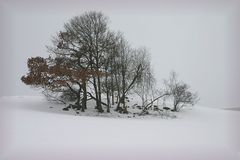 Der Frühling der ein Winter war II