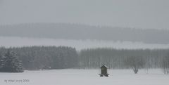 Der Frühling der ein Winter war - schneetreiben am 5. März