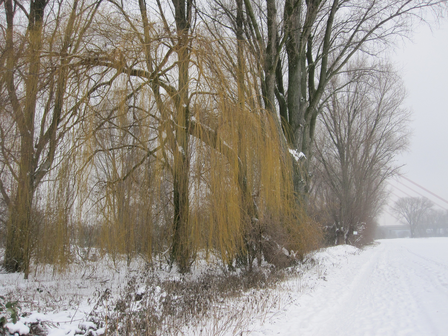 der Frühling drückt...