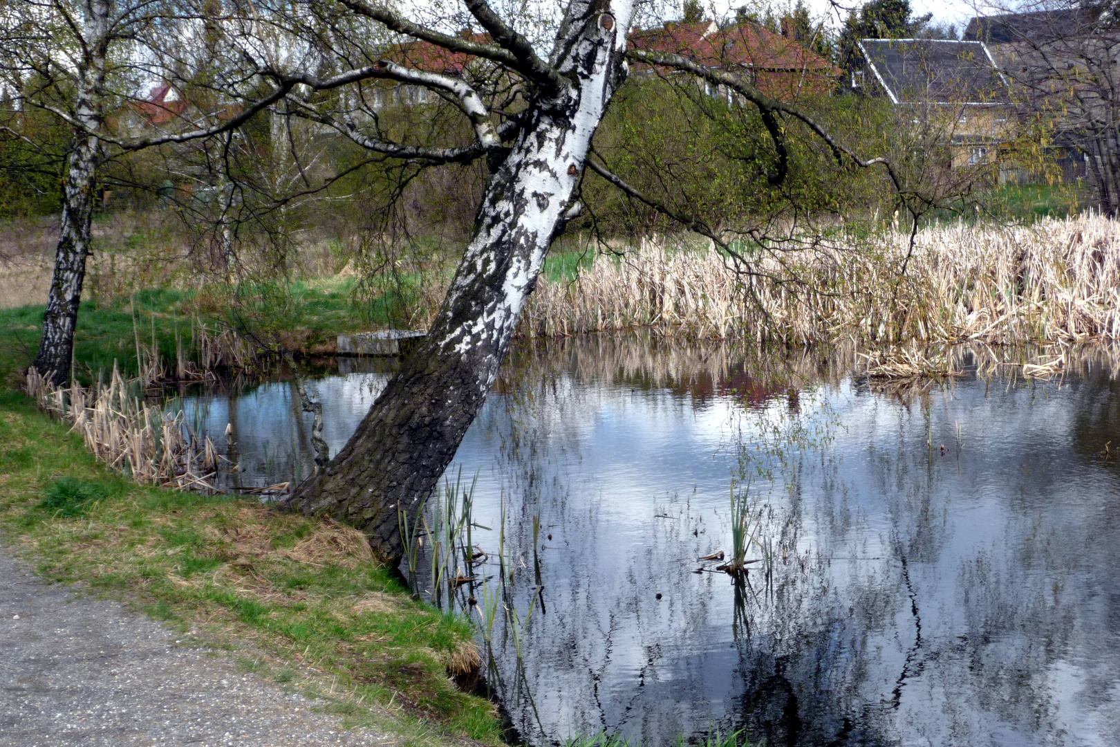 Der Frühling erwacht