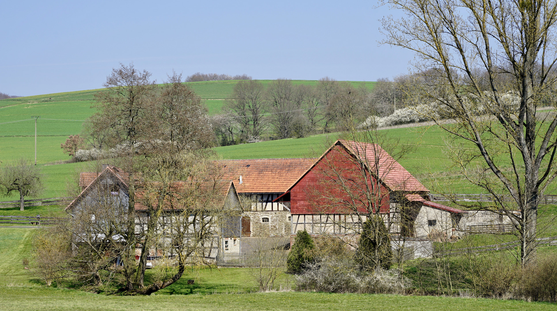 Der Frühling erwacht