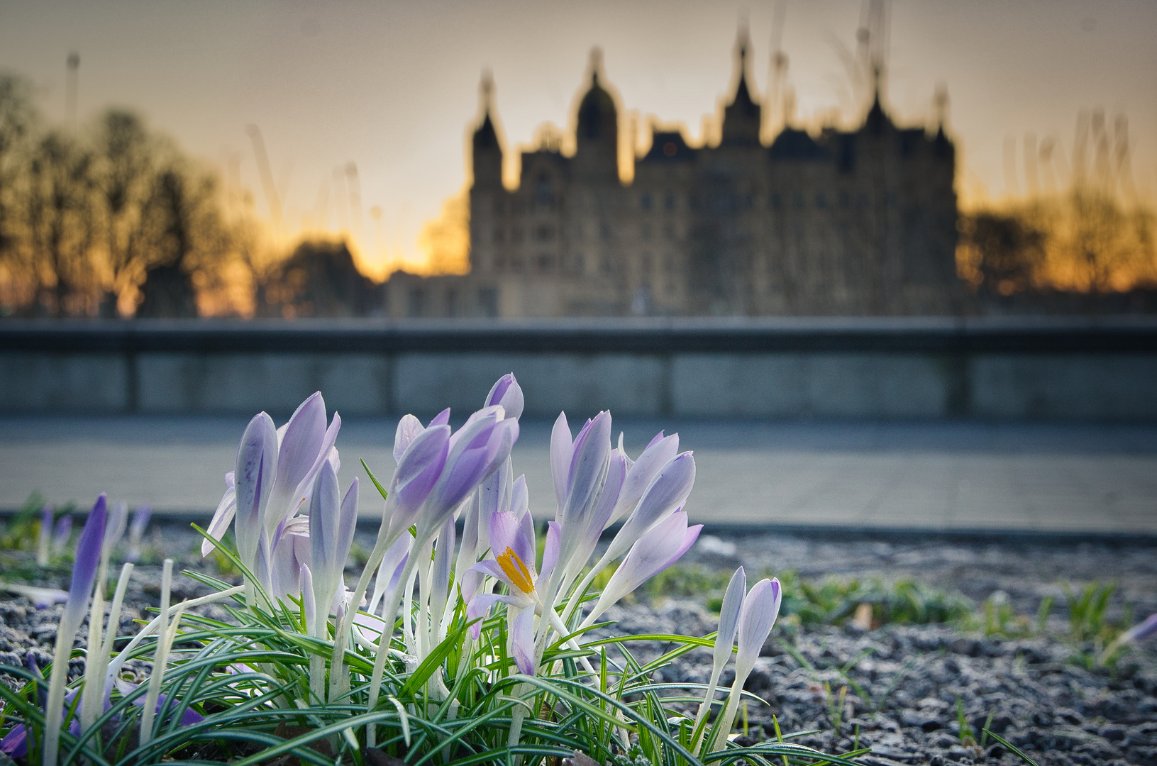 Der Frühling erwacht