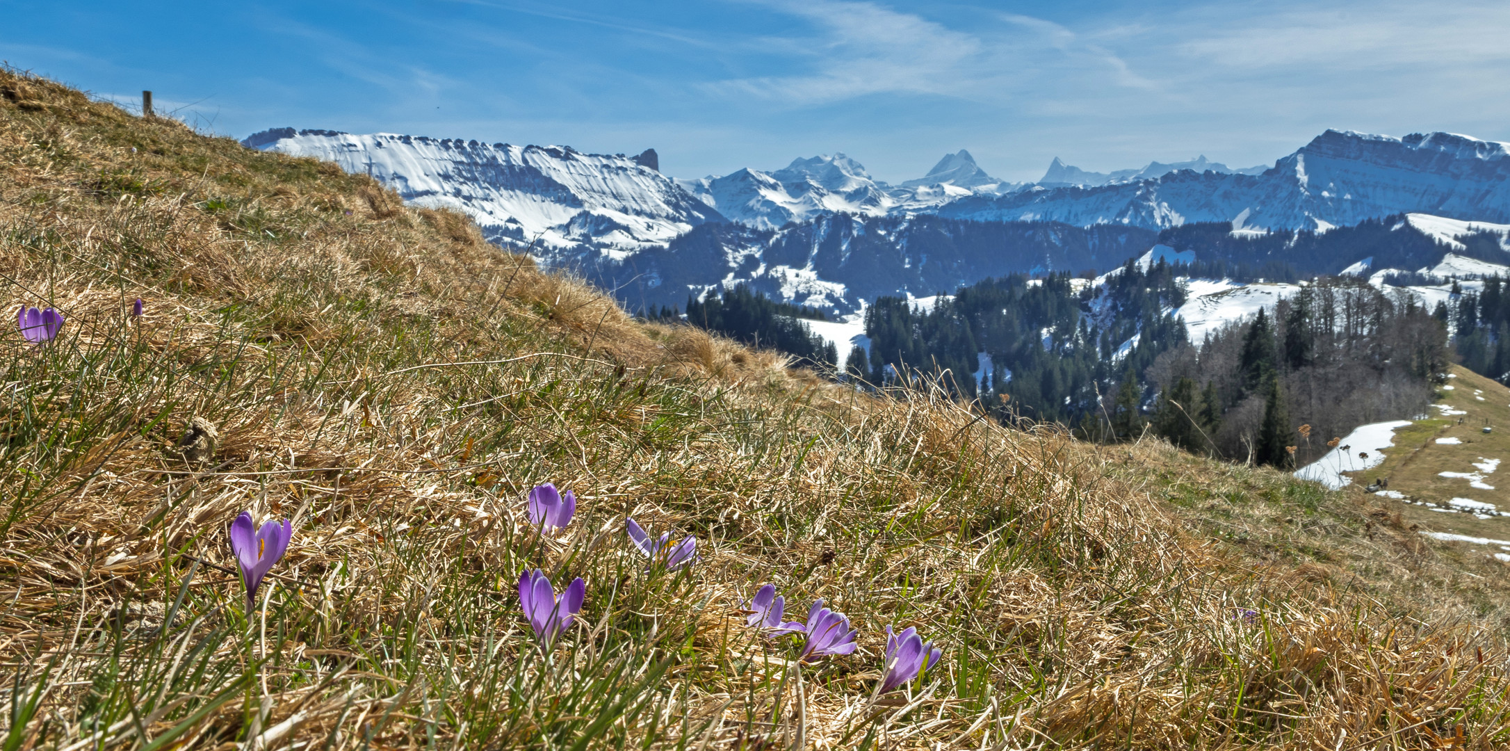 Der Frühling erwacht ...