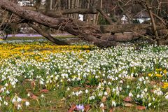 Der Frühling erwacht.