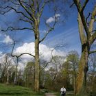  Der Frühling erwacht, der Himmel lacht.