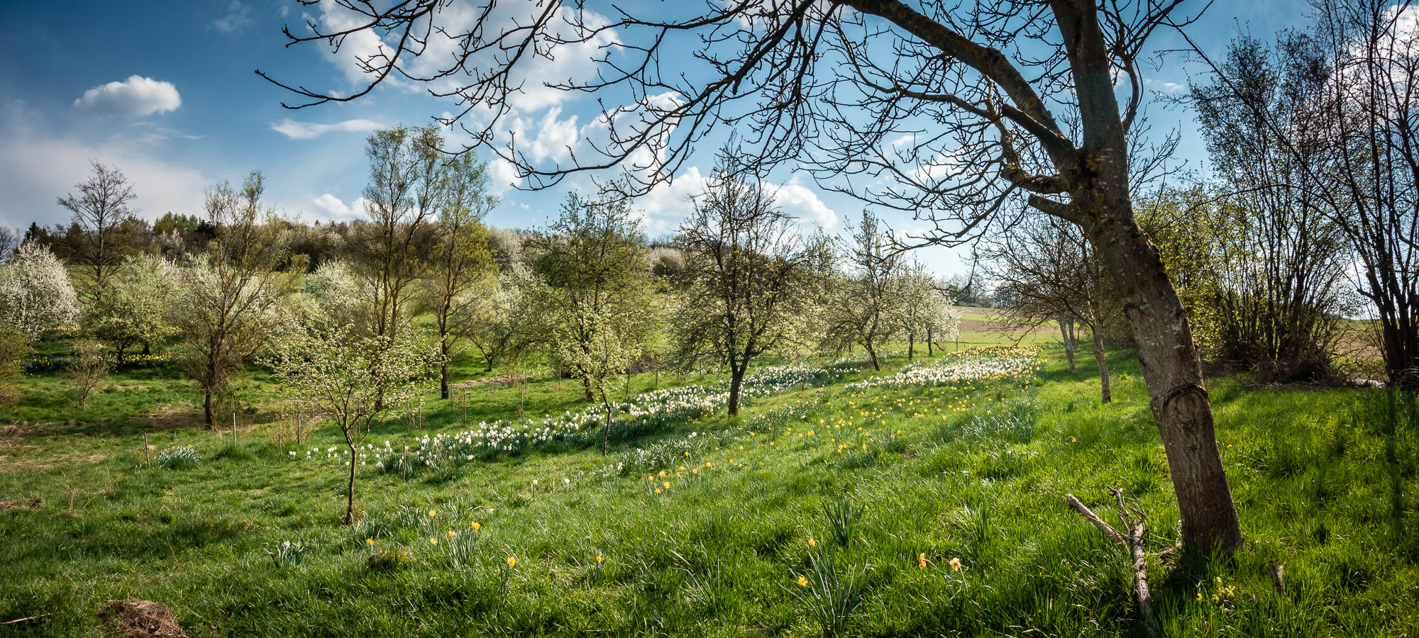 Der Frühling erwacht.... von einem Osterspaziergang