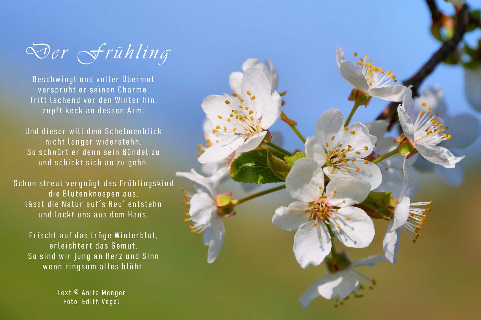 Der Frühling