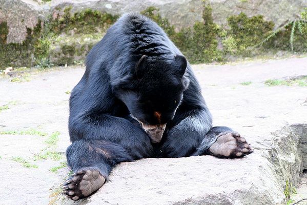 Der Frühling fordert sein Recht!