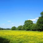 Der Frühling geht.