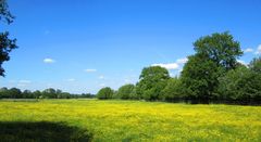 Der Frühling geht.