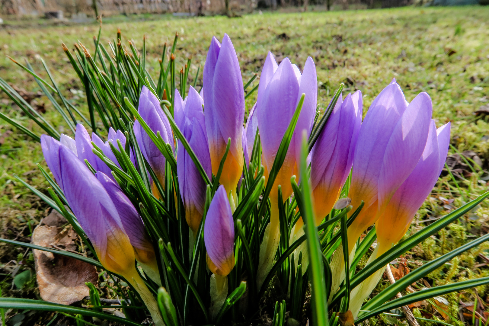 Der Frühling grüßte euch!