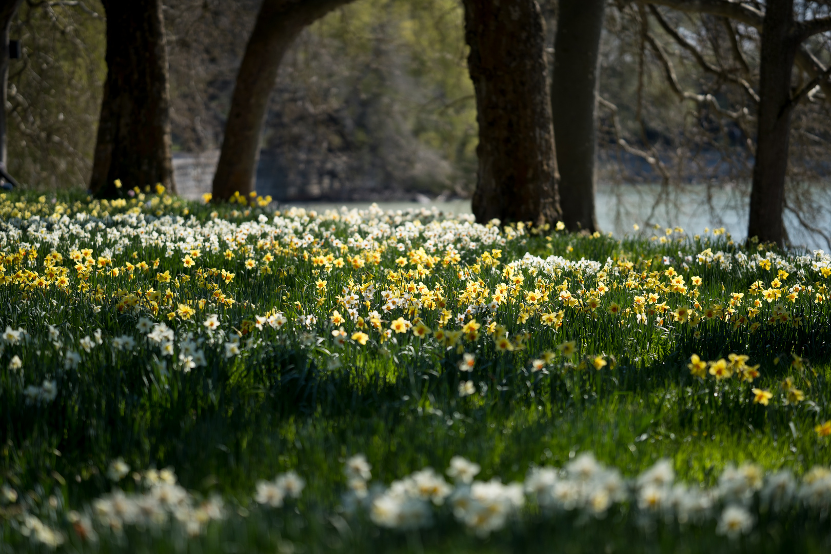 Der Frühling hält Einzug