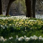 Der Frühling hält Einzug