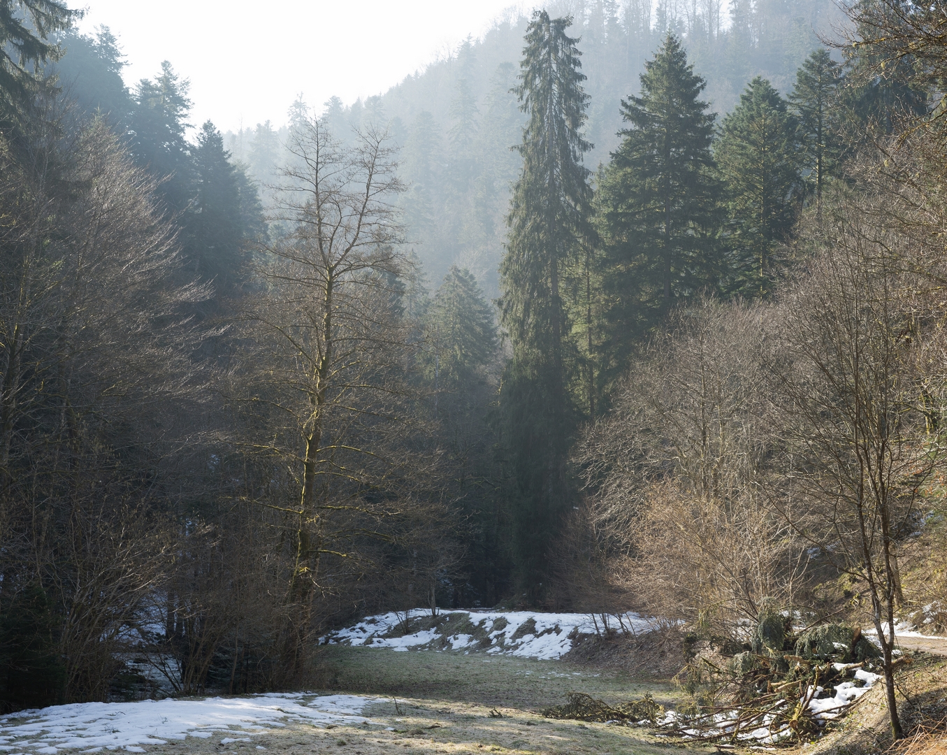 der Frühling hält Einzug