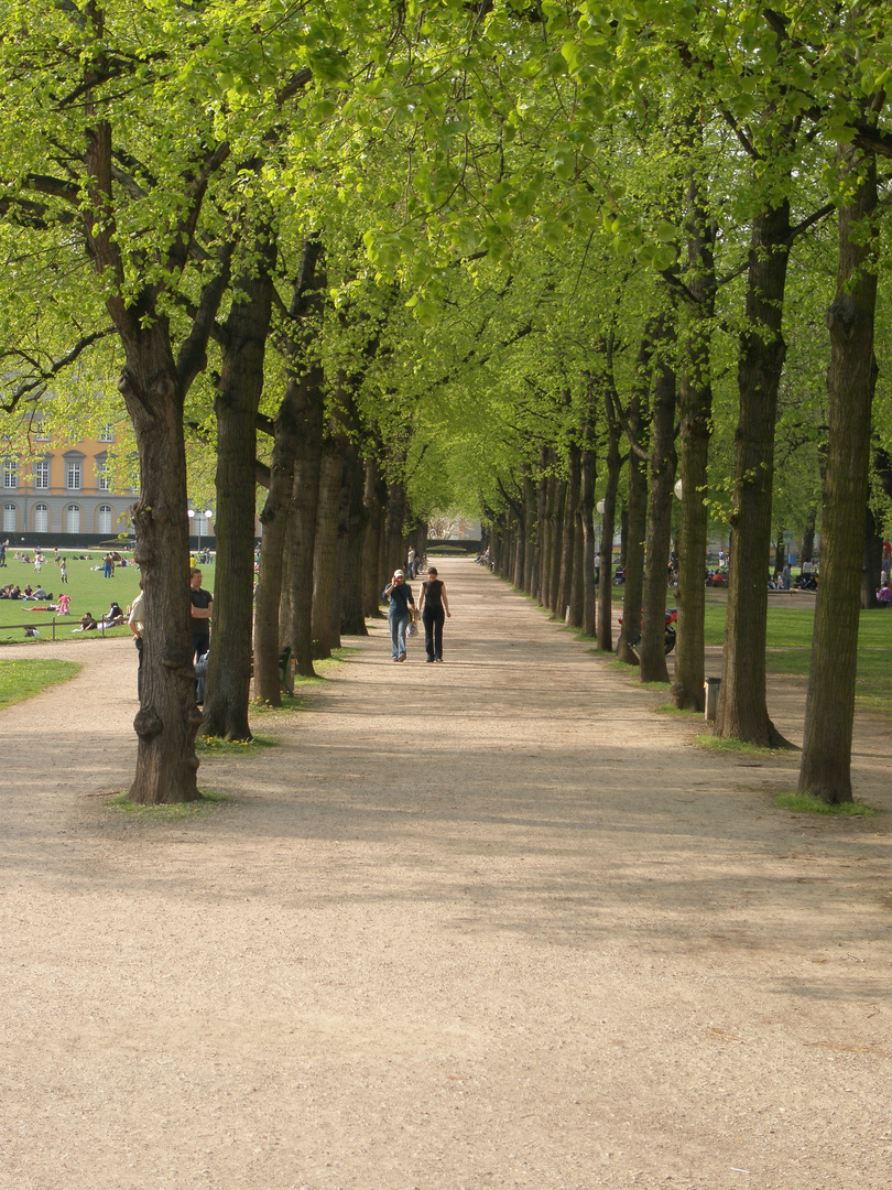 Der Frühling hält Einzug am Hofgarten