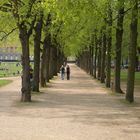 Der Frühling hält Einzug am Hofgarten