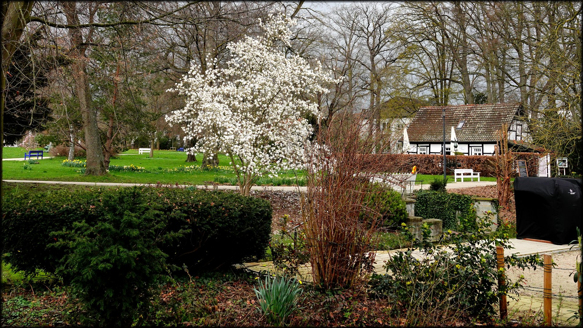 Der Frühling hält Einzug