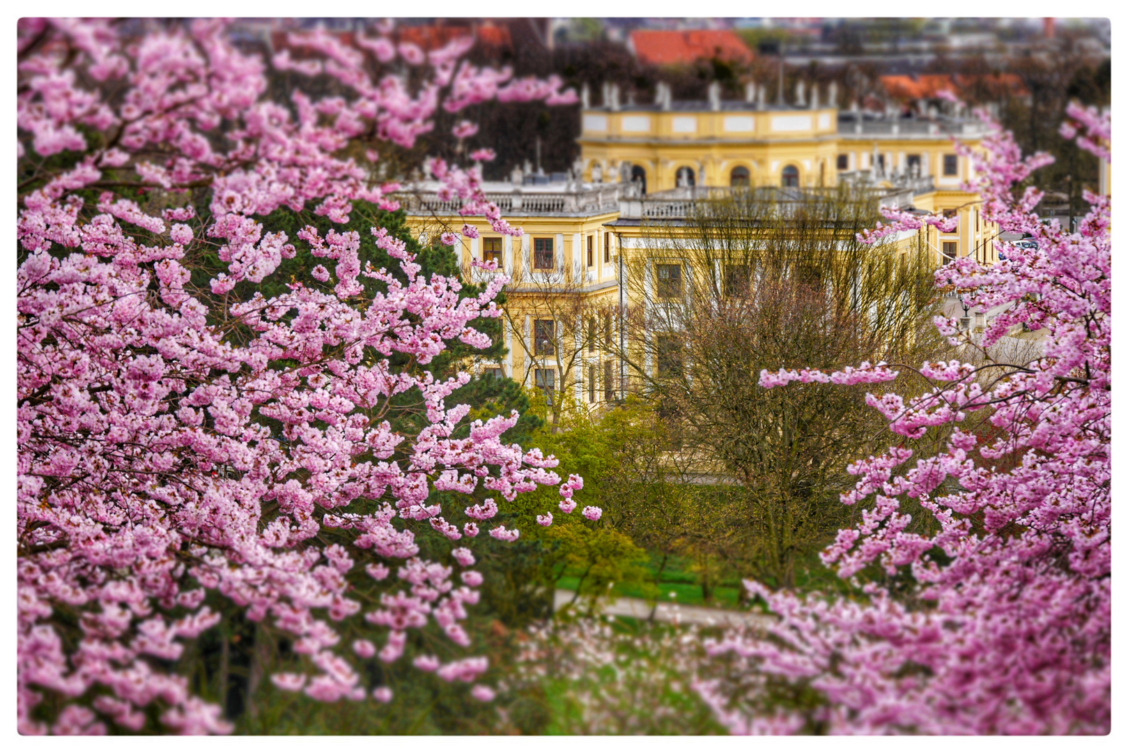 Der Frühling hält Einzug in die Karlsaue in Kassel