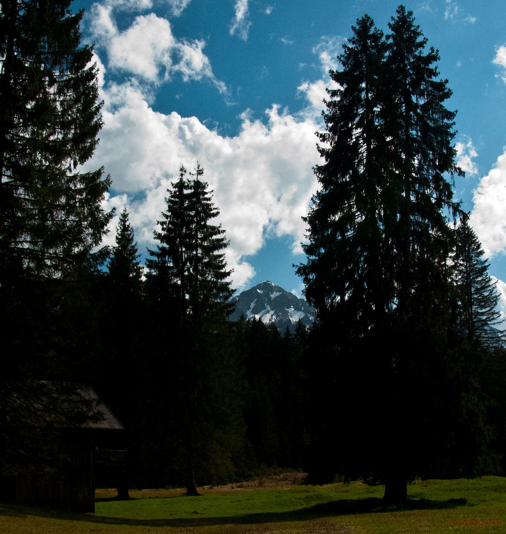 Der Frühling hält endlich Einzug im Tal.....