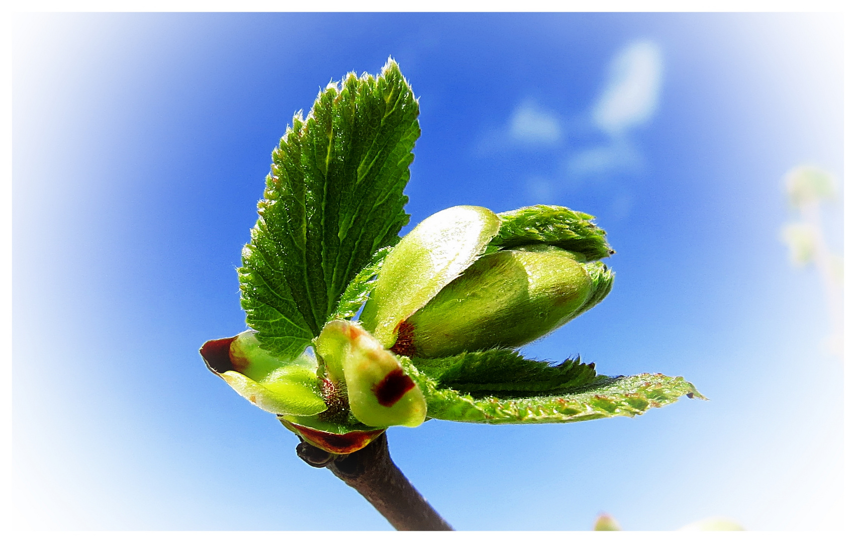 Der Frühling hat auch den Norden voll erwischt